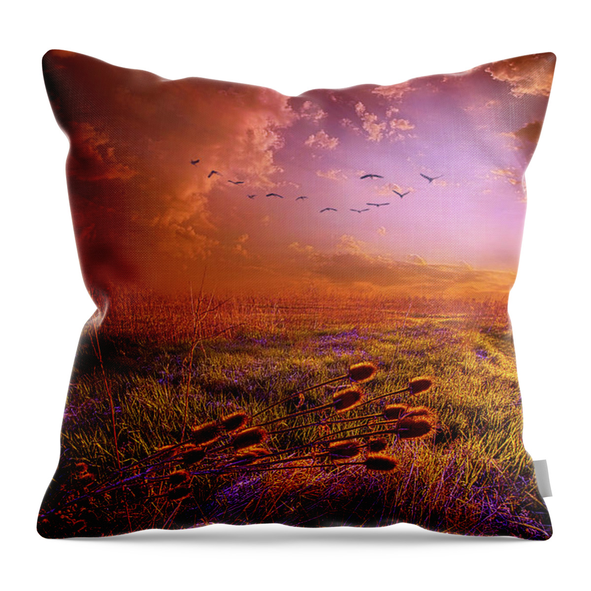 Landscape Throw Pillow featuring the photograph Guiding Light by Phil Koch