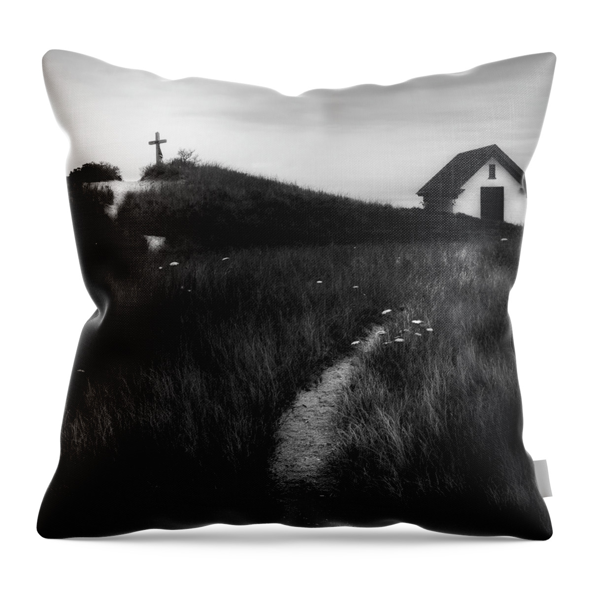 Square Throw Pillow featuring the photograph Guiding Light Square by Bill Wakeley