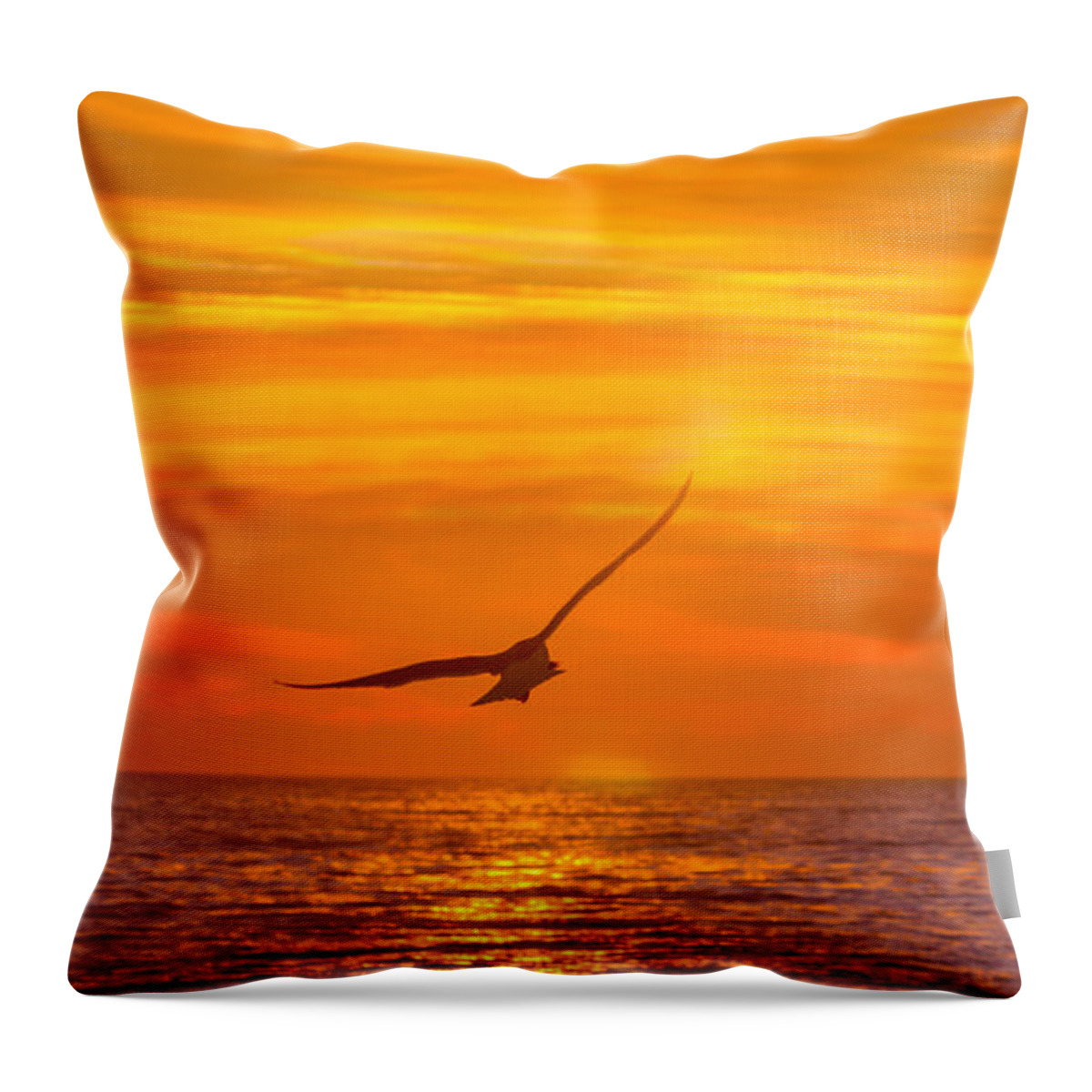 Atlantic Ocean Throw Pillow featuring the photograph Gull at Sunrise by Allan Levin