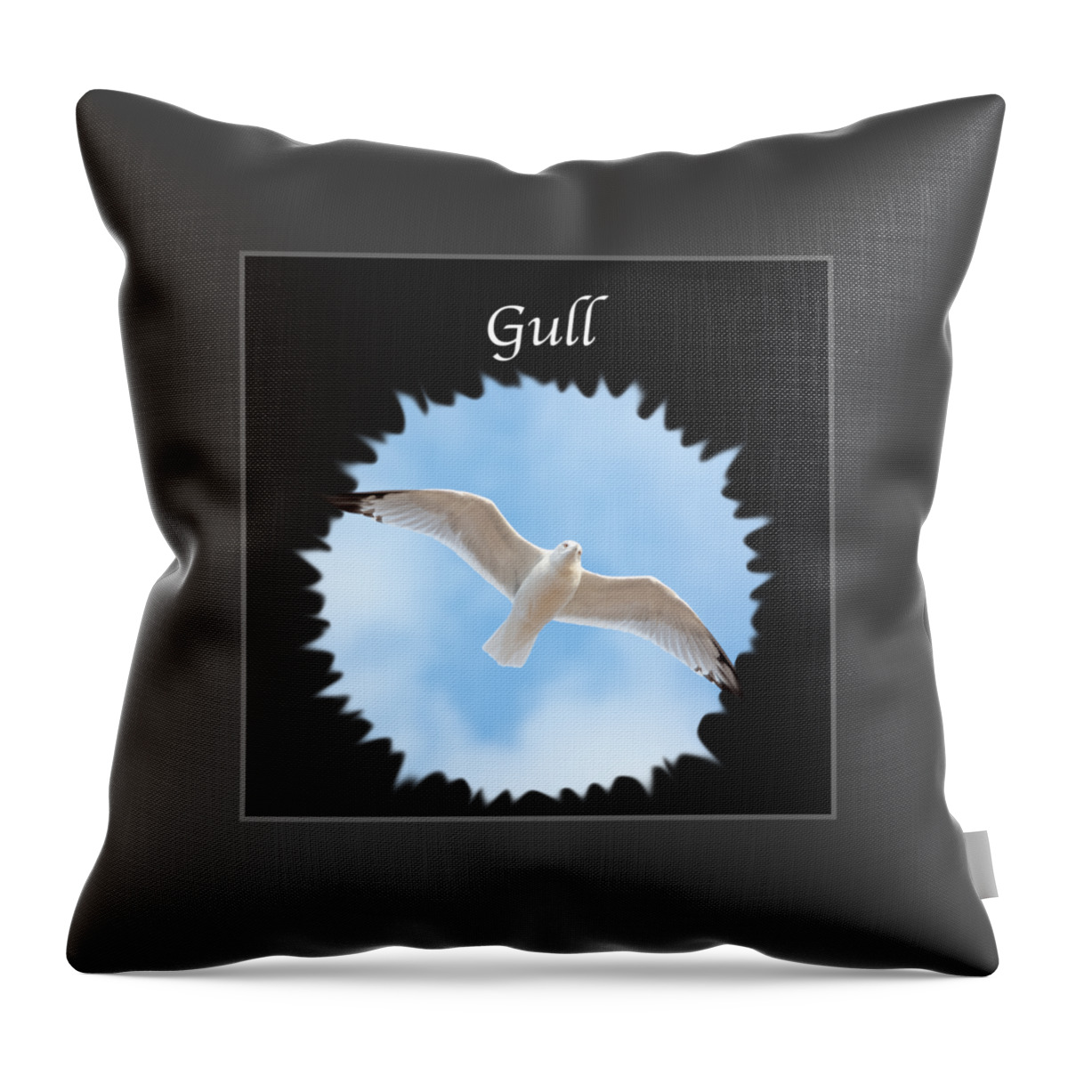Gull Throw Pillow featuring the photograph Gull   by Holden The Moment