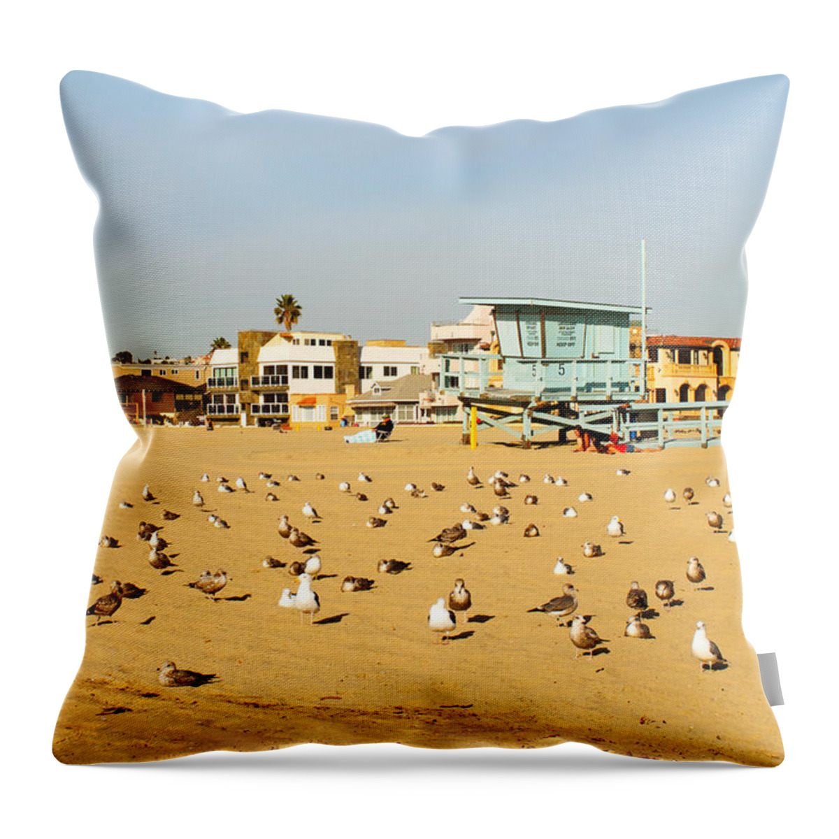 Gulls Throw Pillow featuring the photograph Gulls on Sand by Michael Hope