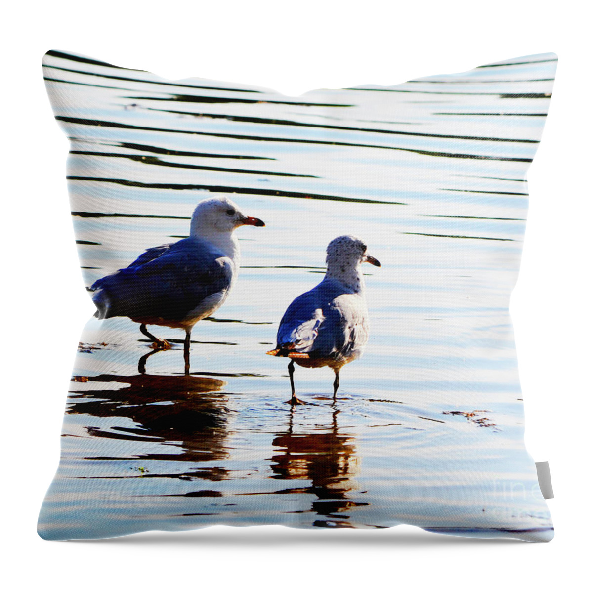 Beach Throw Pillow featuring the photograph Gulls by Traci Cottingham