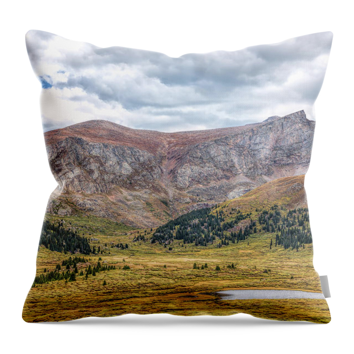 Landscape Throw Pillow featuring the photograph Guanella Pass Vista by John M Bailey