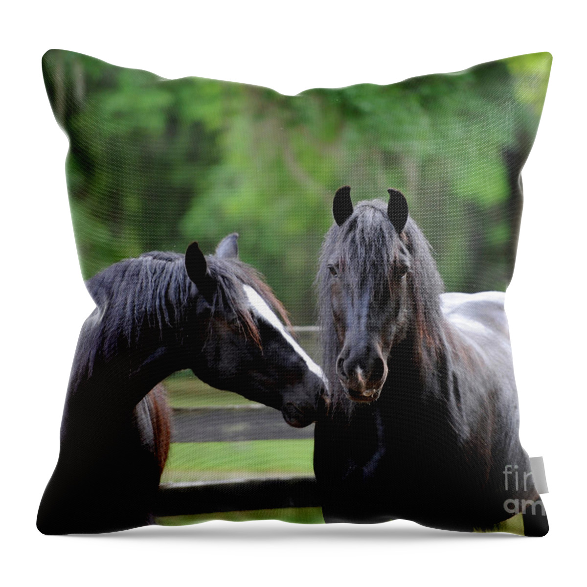 Gypsy Gold Farm Throw Pillow featuring the photograph Gypsy Vanner Mares by Carien Schippers