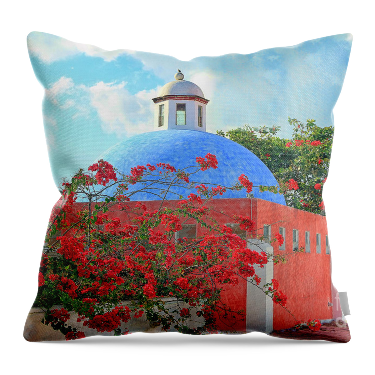 Building Throw Pillow featuring the photograph Hacienda Dona Isabel by Teresa Zieba