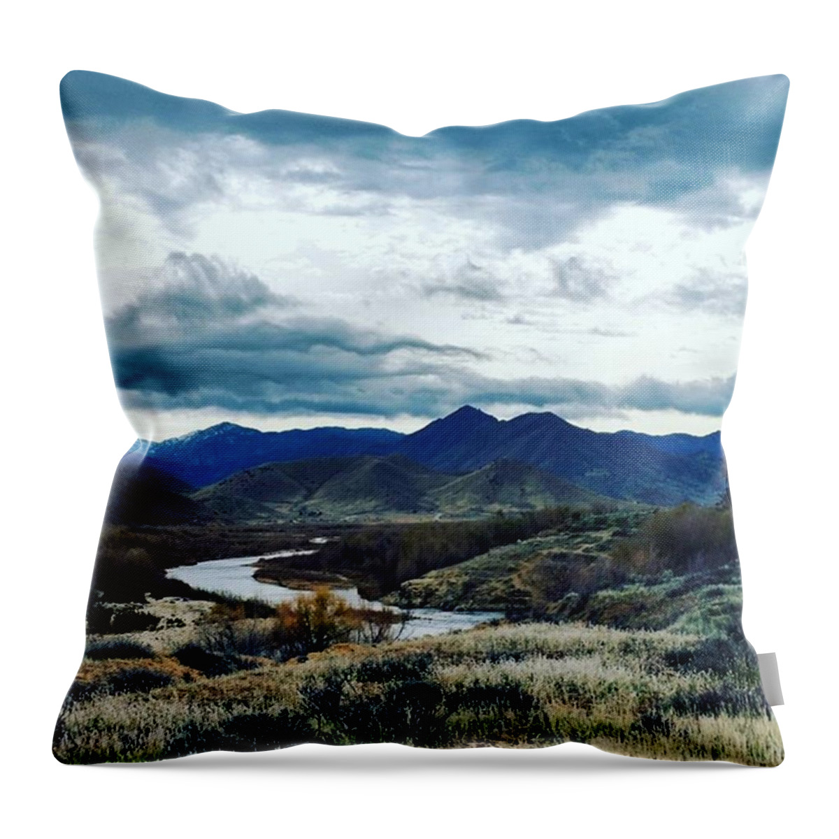 Winter Throw Pillow featuring the photograph Winter Morning by Ashley Loza