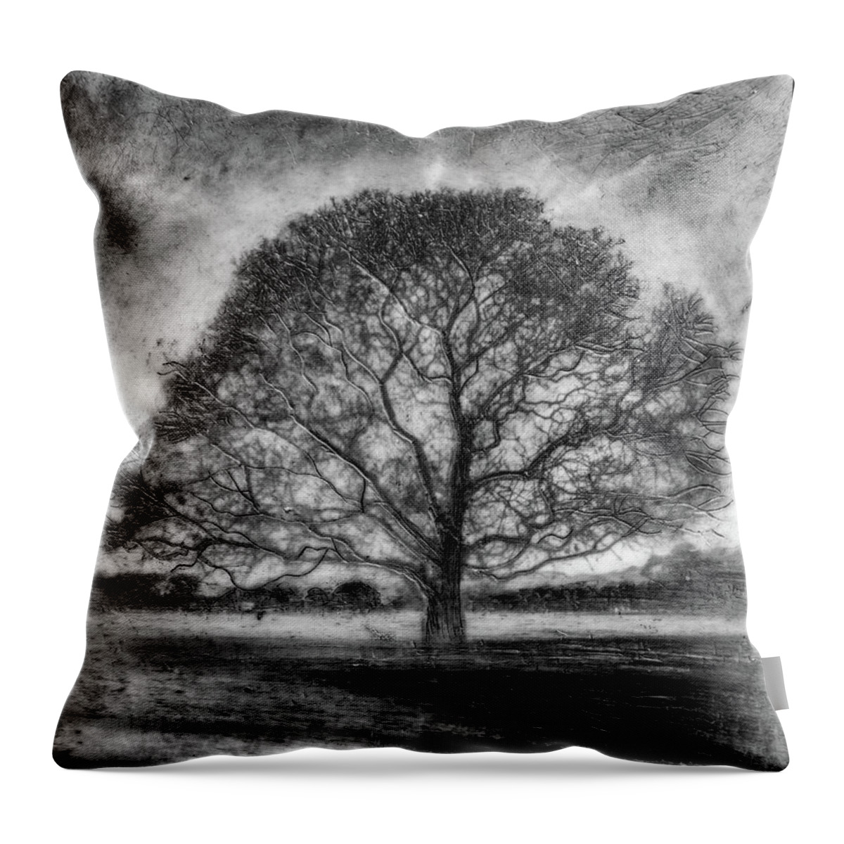 Trees Throw Pillow featuring the mixed media Hagley Tree 2 by Roseanne Jones