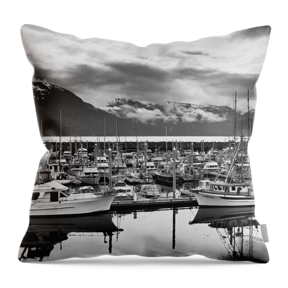 Haines Throw Pillow featuring the photograph Haines Harbor by Paul Riedinger