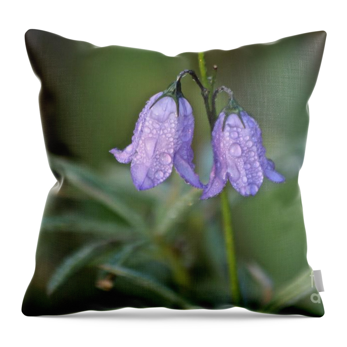 Hairbell Throw Pillow featuring the photograph Hairbells After the Rain by Ann E Robson