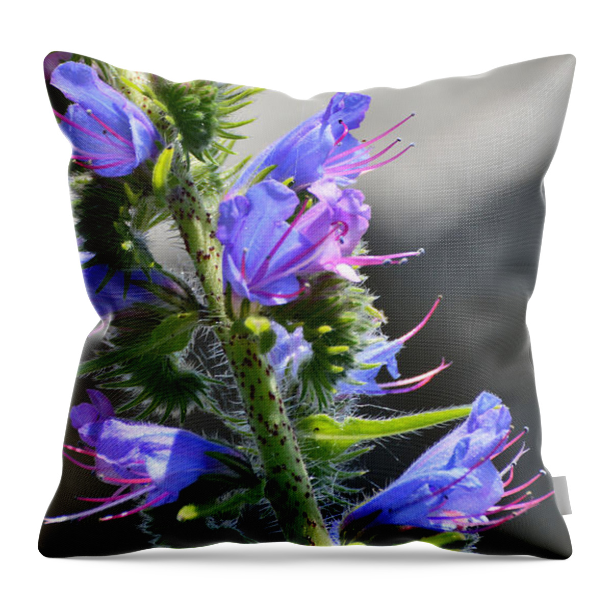 Flower Throw Pillow featuring the photograph Hairy Flower by Lyle Crump