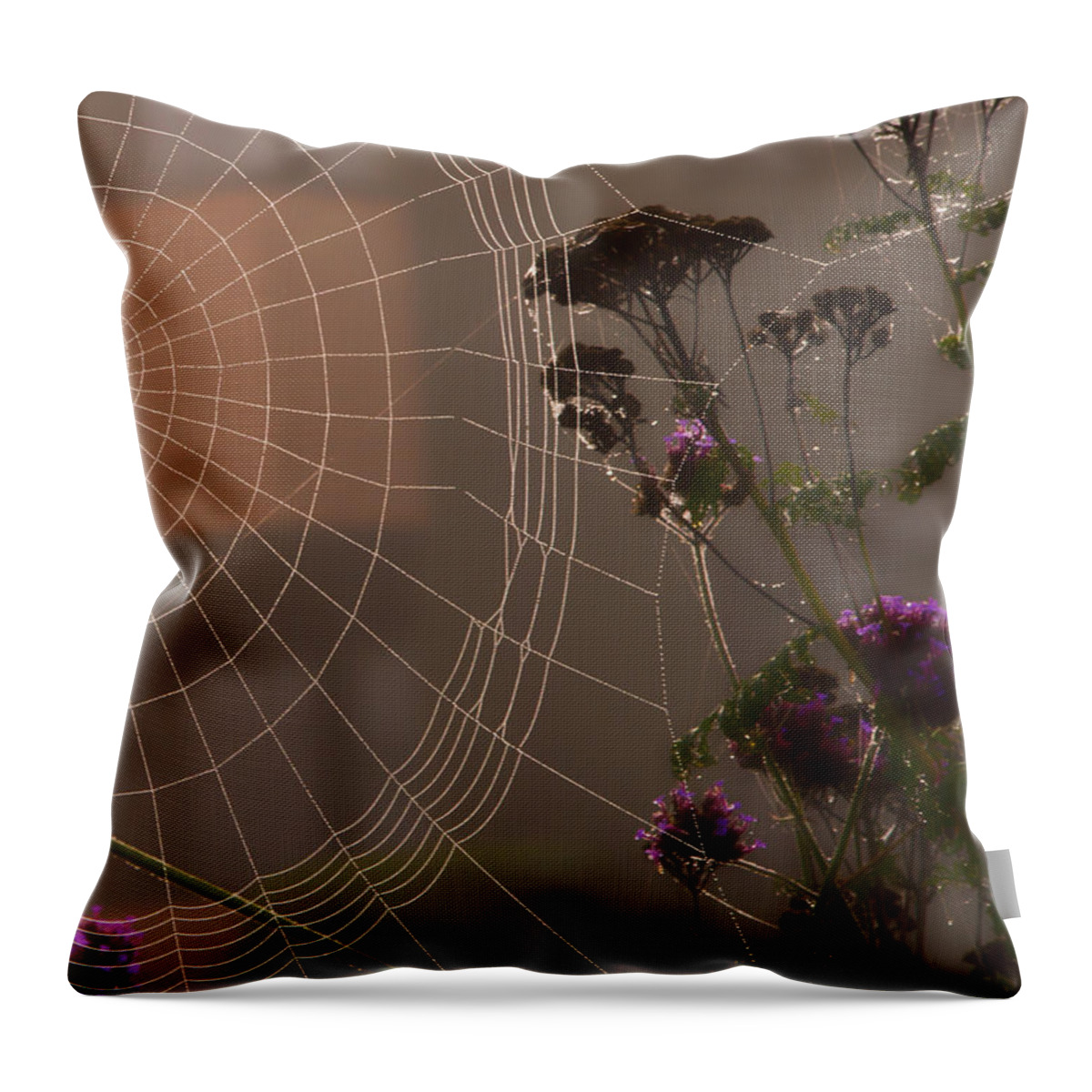 Spiderweb Throw Pillow featuring the photograph Half a Web by Gary Karlsen