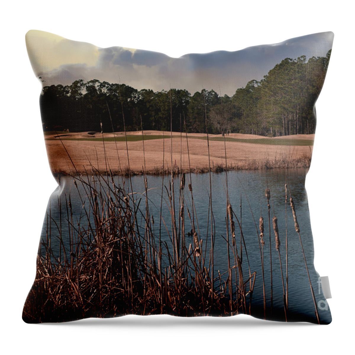 Golf Throw Pillow featuring the photograph Rivertowne Country Club Winter Golfing by Dale Powell