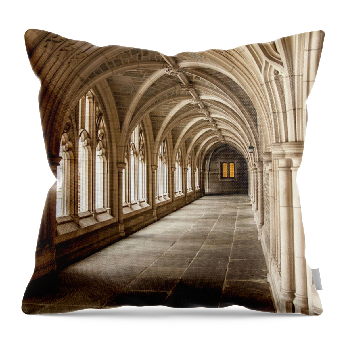 Architecture Throw Pillow featuring the photograph Princeton Hallowed Halls by Ginger Stein