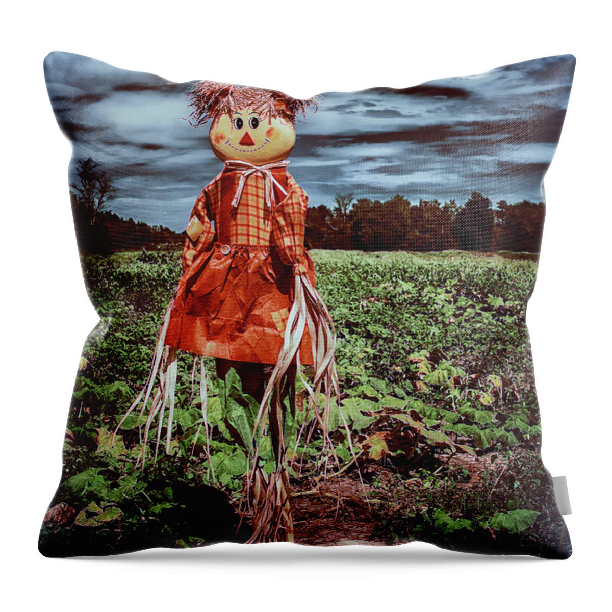 Scarecrow Throw Pillow featuring the photograph Halloween Scarecrow by Debra Forand