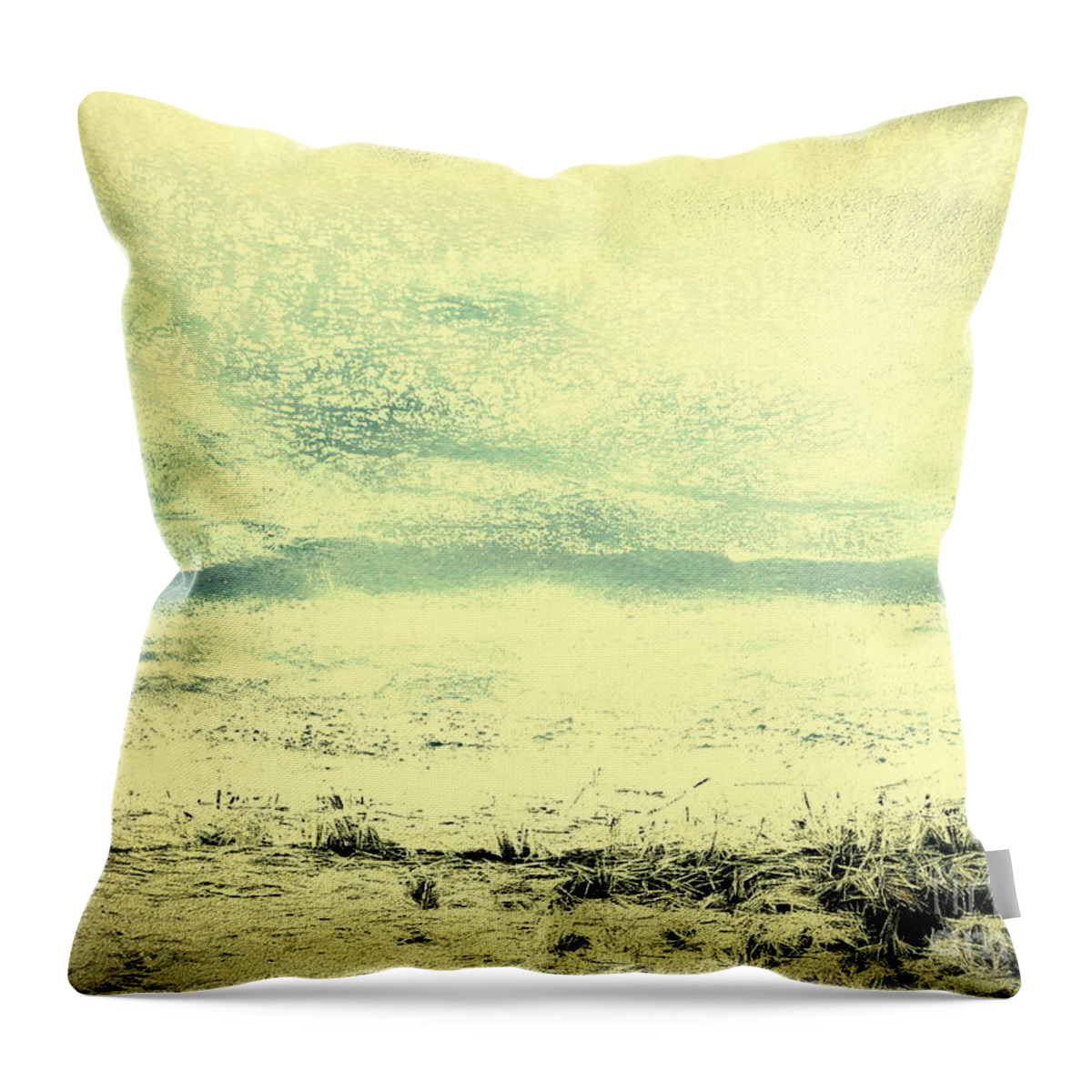 Digital Altered Photo Throw Pillow featuring the digital art Hallucination on a Beach by Tim Richards