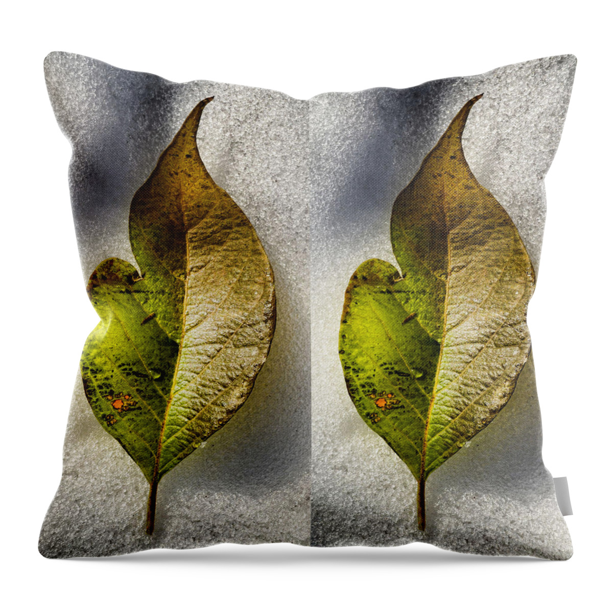 Halves Throw Pillow featuring the photograph Halves by Tom Druin