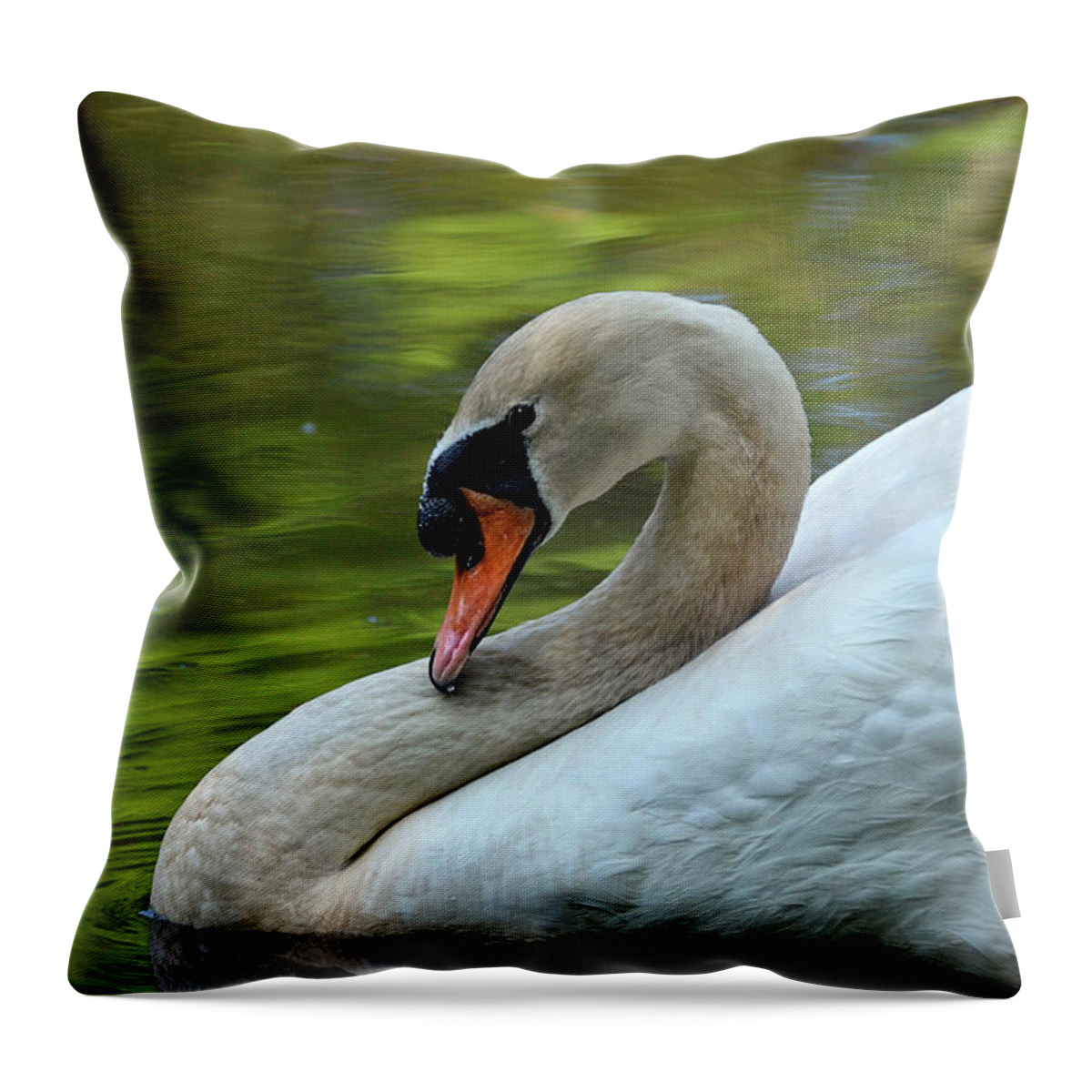 Swan Throw Pillow featuring the photograph Hammy Swan by Ronda Ryan