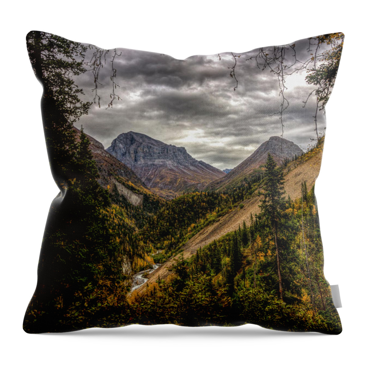 Alaska Throw Pillow featuring the photograph Hancock Pass by Fred Denner