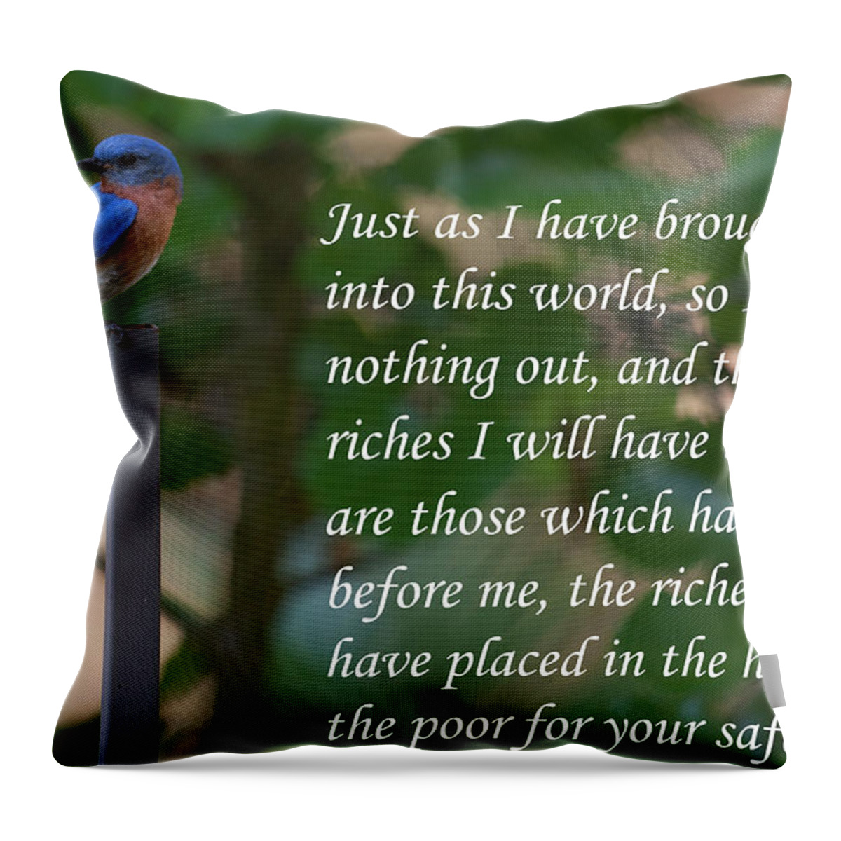 Bird Throw Pillow featuring the photograph Hands of the Poor by Dale Powell