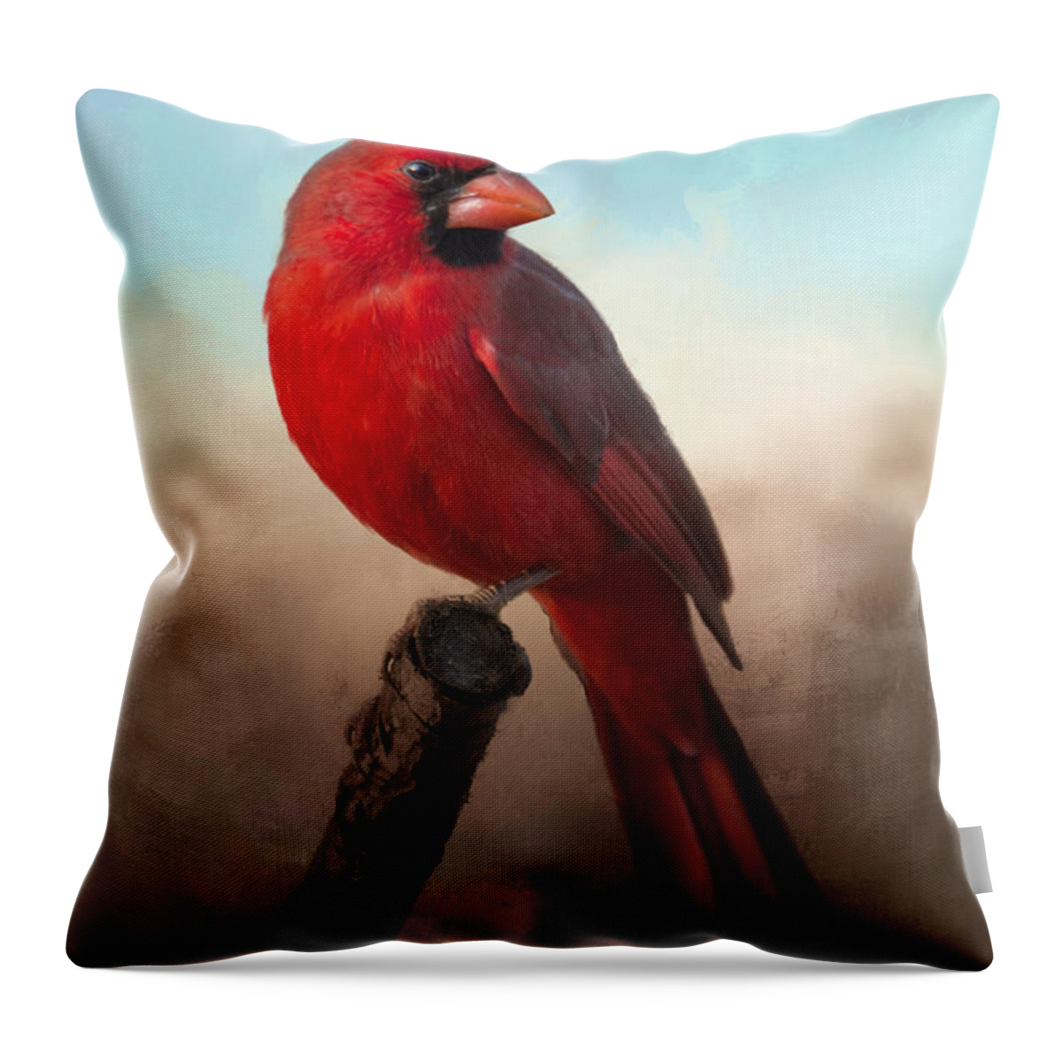 Cardinal Throw Pillow featuring the photograph Handsome Cardinal by Barbara Manis