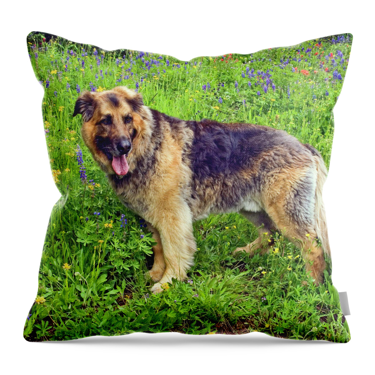 Large Dog Standing Throw Pillow featuring the photograph Handsome Dog in Wildflowers by Sally Weigand