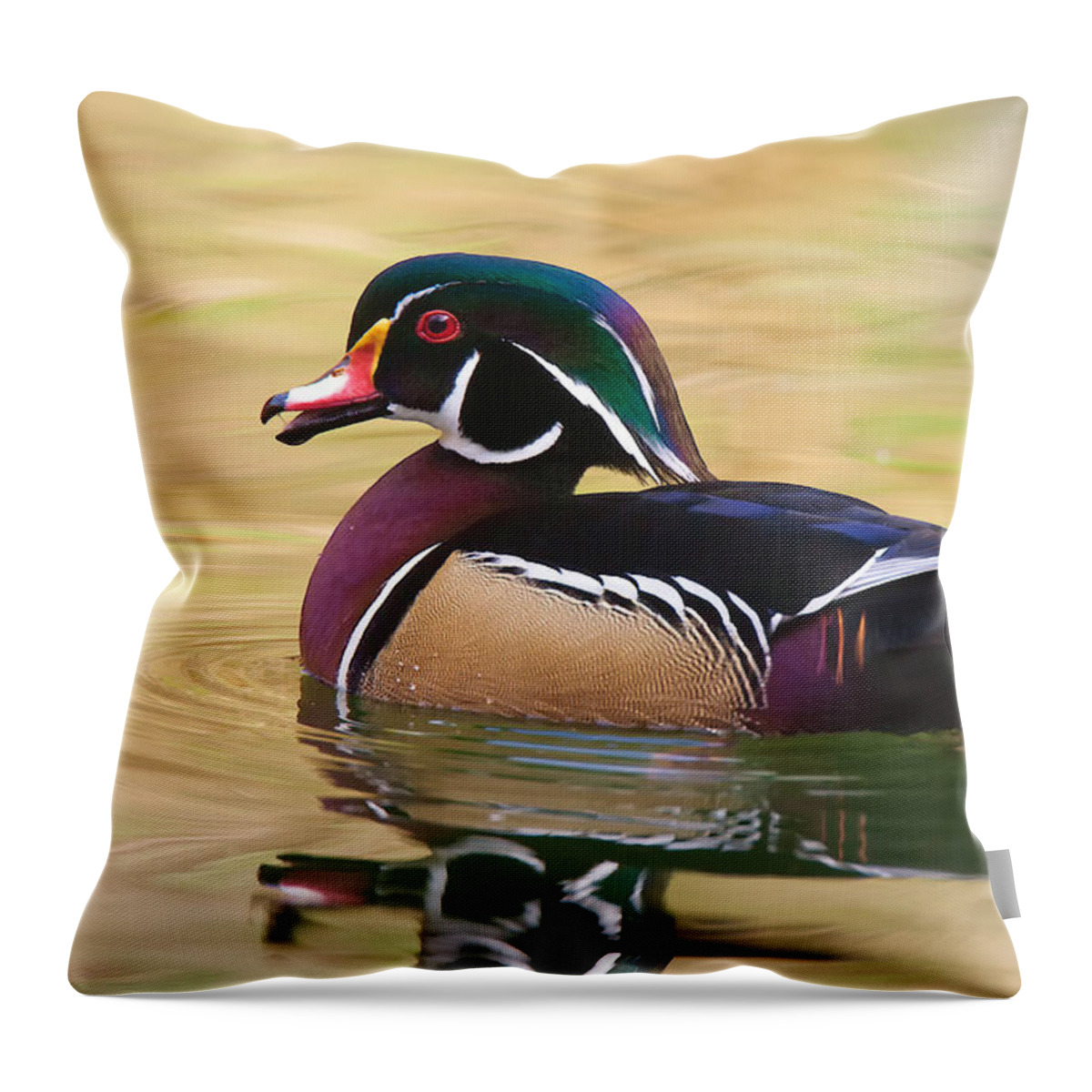 Wood Duck Throw Pillow featuring the photograph Handsome Wood Duck by Ram Vasudev