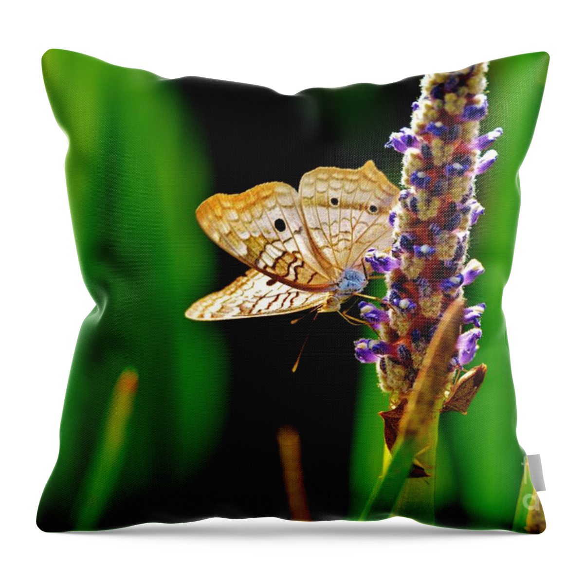 White Peacock Butterfly Throw Pillow featuring the photograph Hanging around by Julie Adair