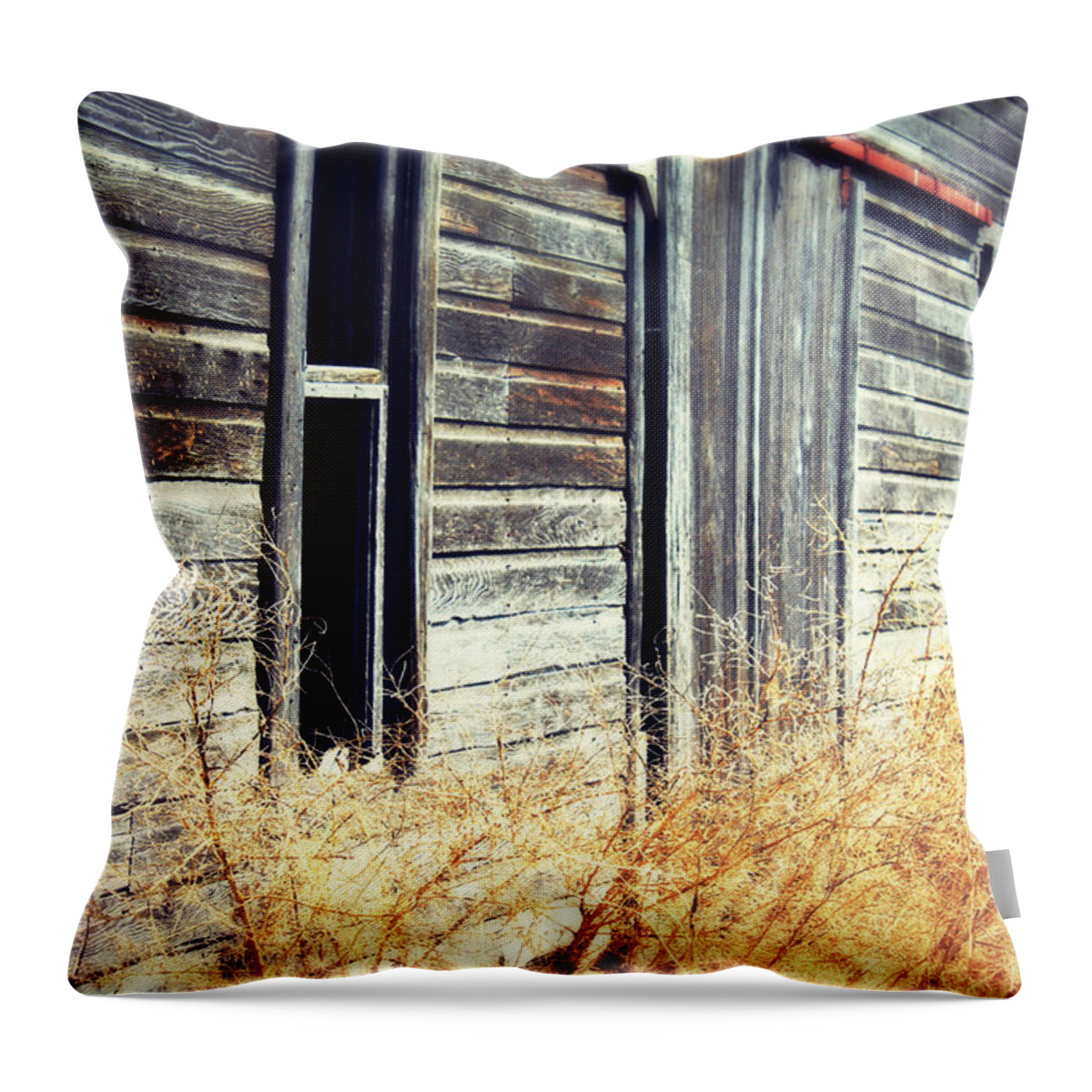 Barn Throw Pillow featuring the photograph Hanging by a Bolt by Julie Hamilton