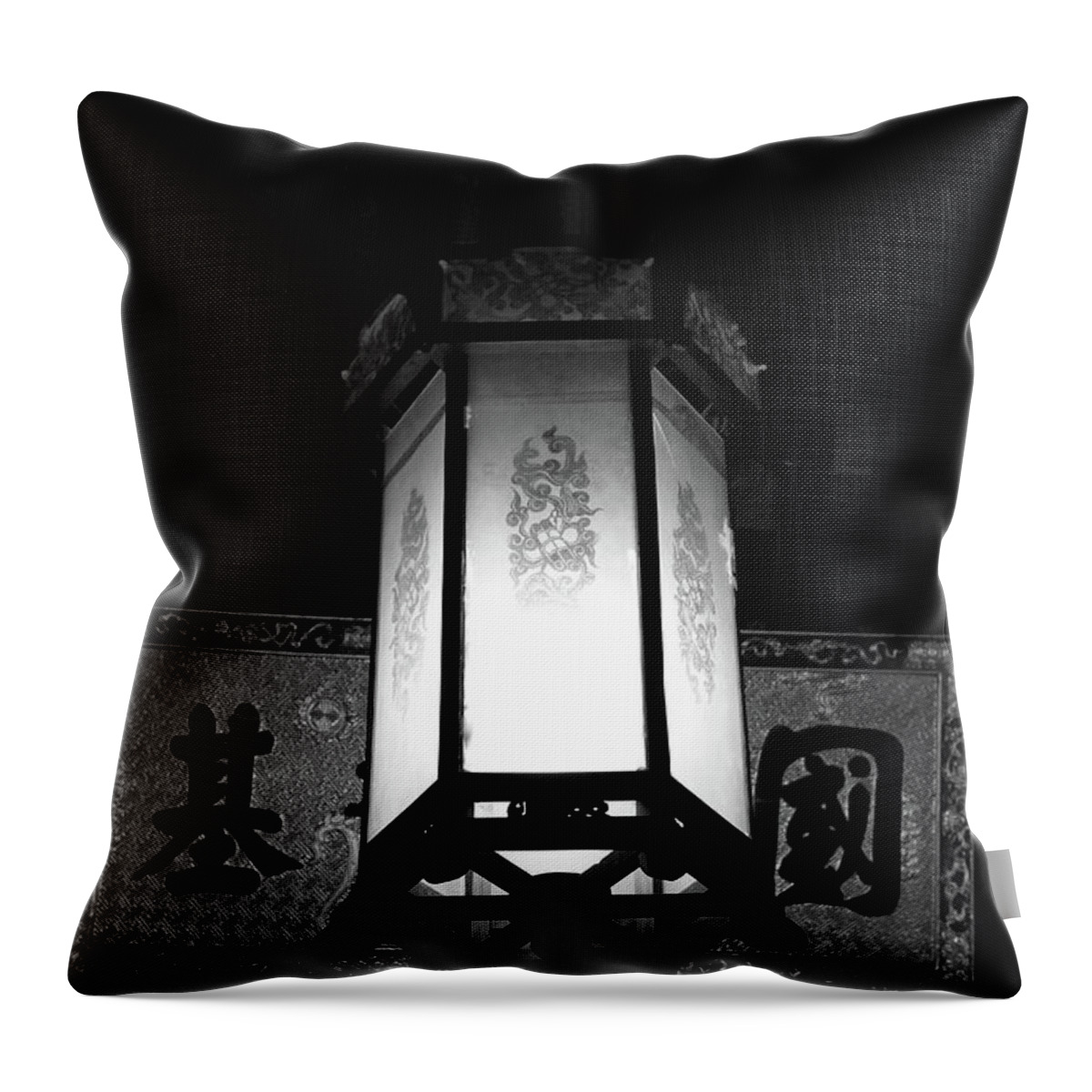 Hue Throw Pillow featuring the photograph Hanging Lantern Hue Vietnam by Samantha Delory