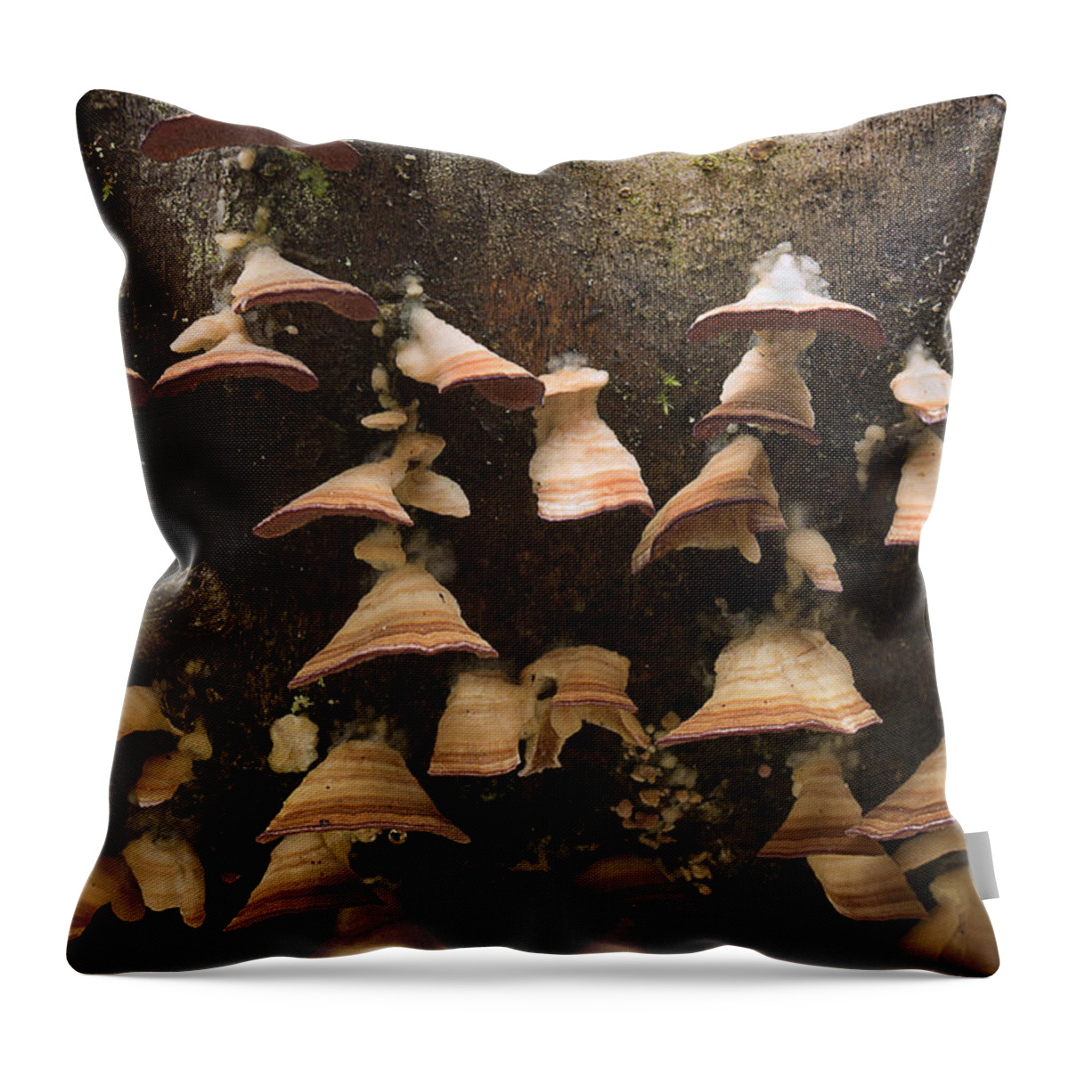 Fungus Throw Pillow featuring the photograph Hanging On by Mike Eingle