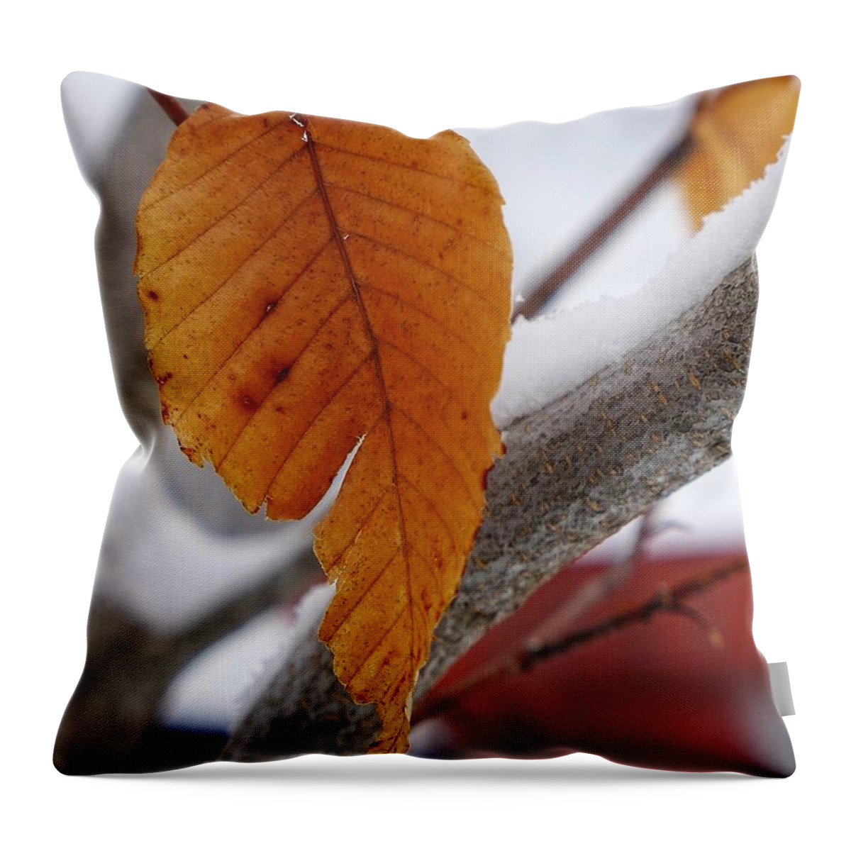 Winter Throw Pillow featuring the photograph Hanging On Until Spring by Cheryl Kurman