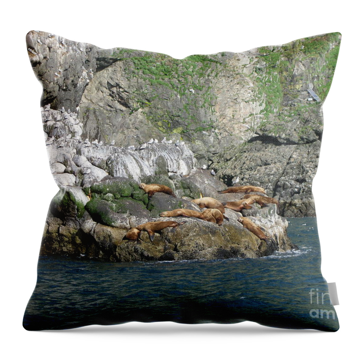 Landscape Throw Pillow featuring the photograph Hanging Out in Alaska by Anthony Trillo