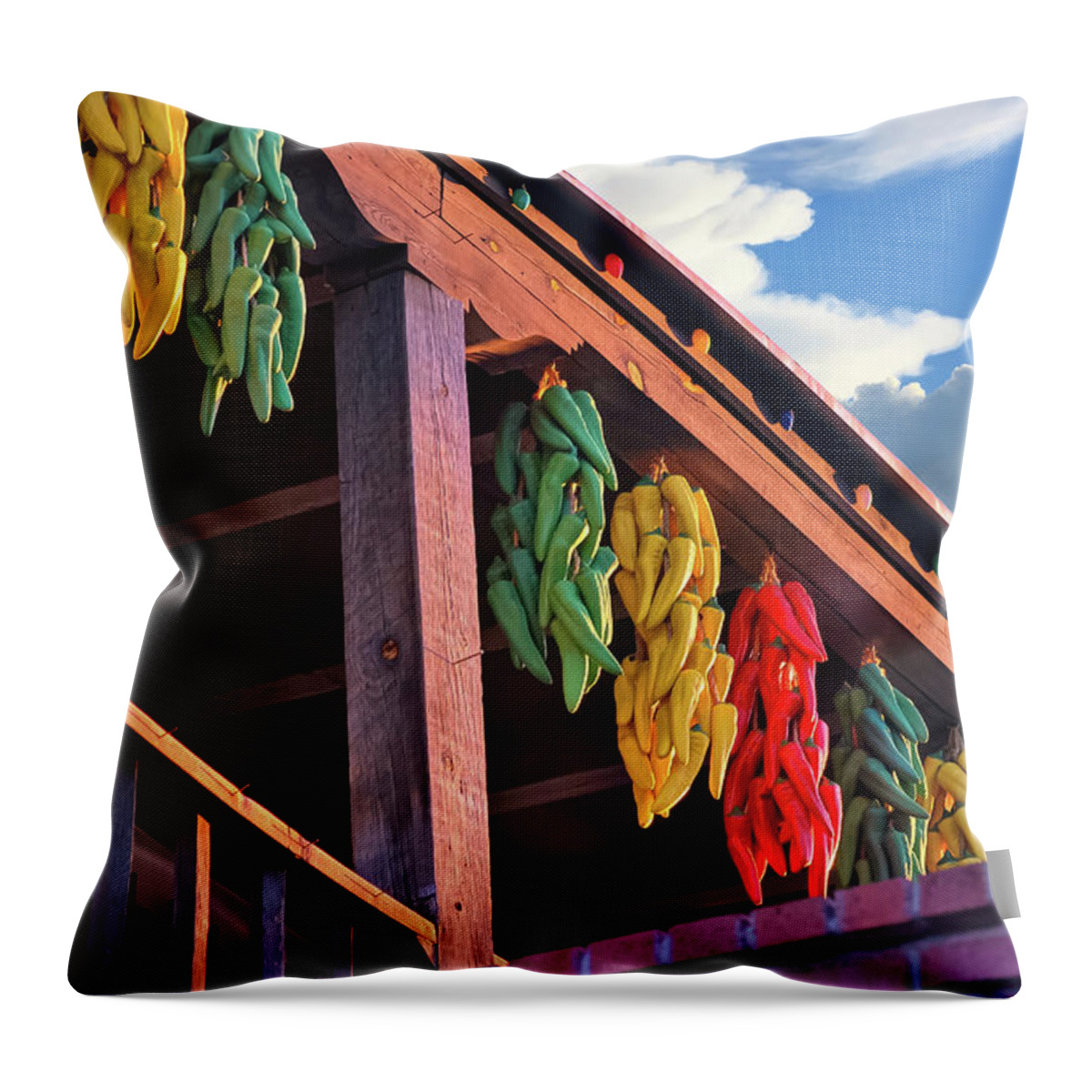 America Throw Pillow featuring the photograph Hanging Peppers in Old Town Albuquerque New Mexico by Gregory Ballos