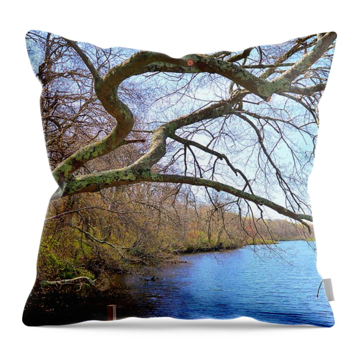 Nature Throw Pillow featuring the photograph Old OakTree over River by Stacie Siemsen