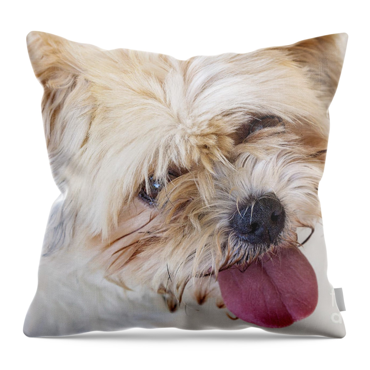 Dog Throw Pillow featuring the photograph Hannah by Linda Lees
