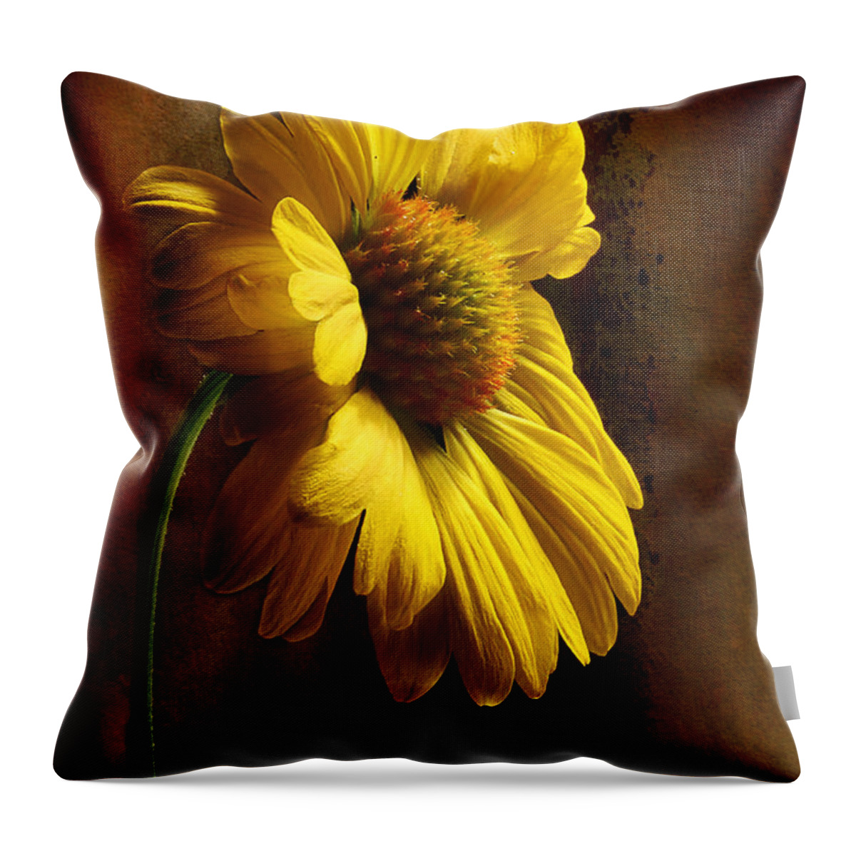 Daisy Throw Pillow featuring the photograph Happiness Is A Flower Shared by Michael Eingle