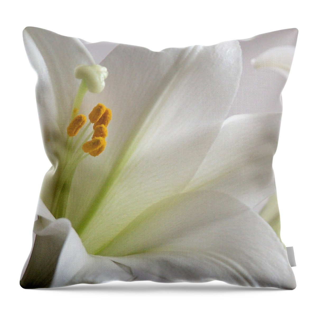 Easter Throw Pillow featuring the photograph Happy Easter by Steven Huszar