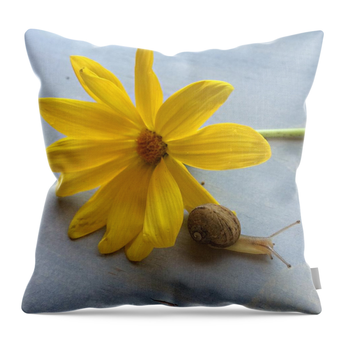  Throw Pillow featuring the photograph Happy First Day Of Spring🌼🐌 by Kelsey Gold 