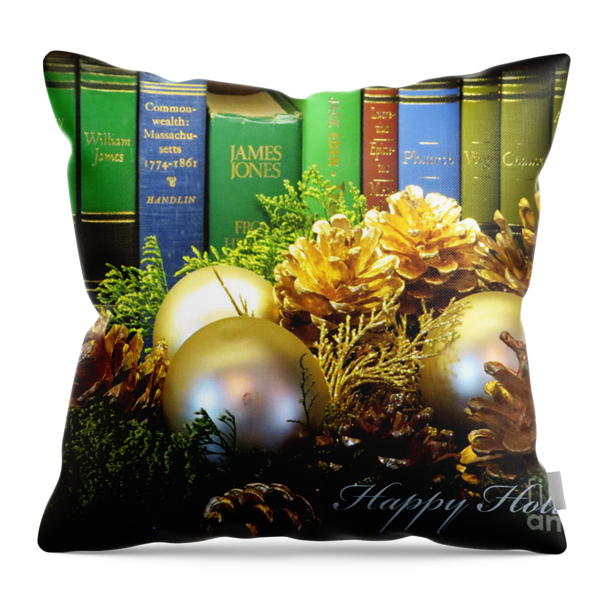Pine Cones Throw Pillow featuring the photograph Happy Holidays Books by Dawn Gari