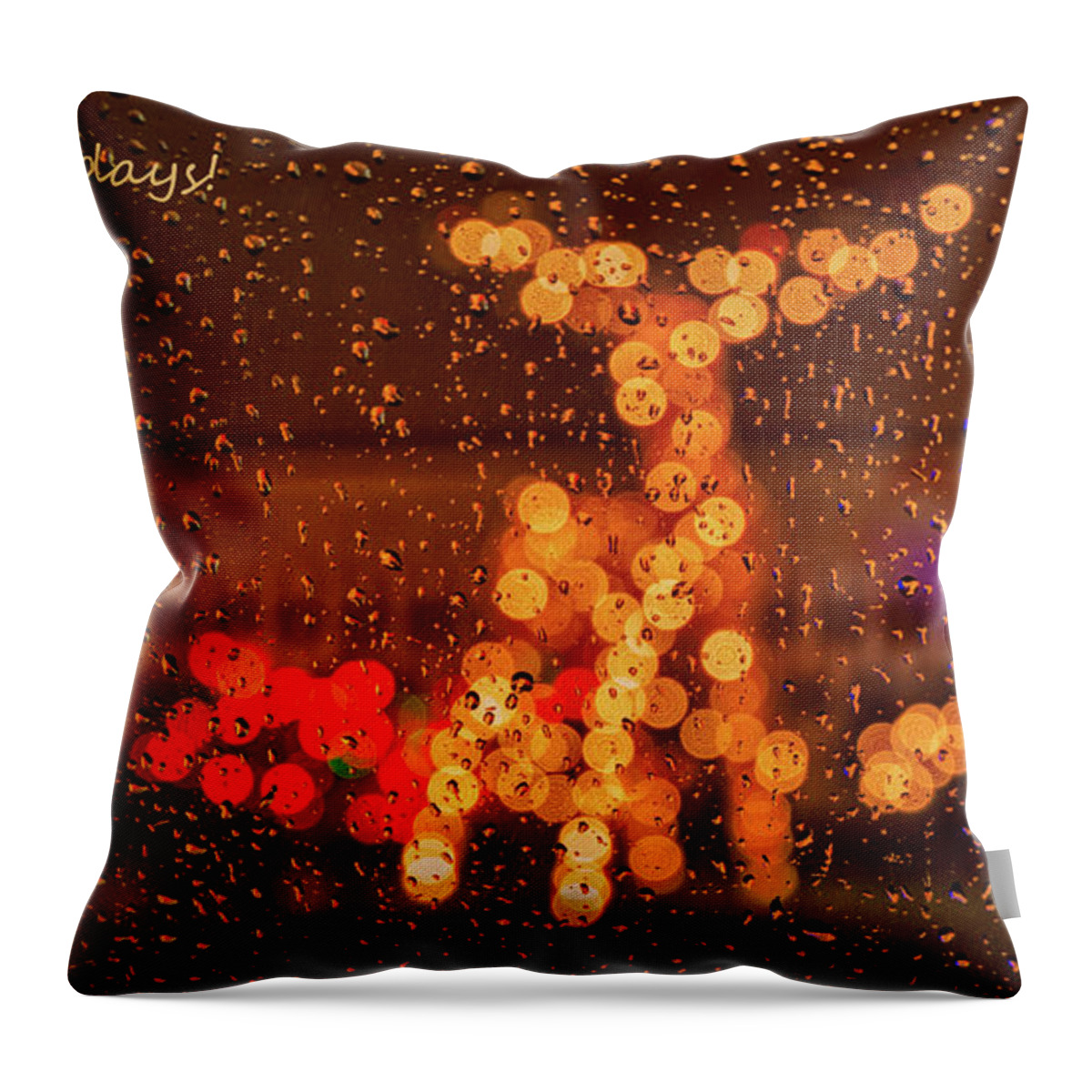 Seasonal Throw Pillow featuring the photograph Happy Holidays by Rob Davies
