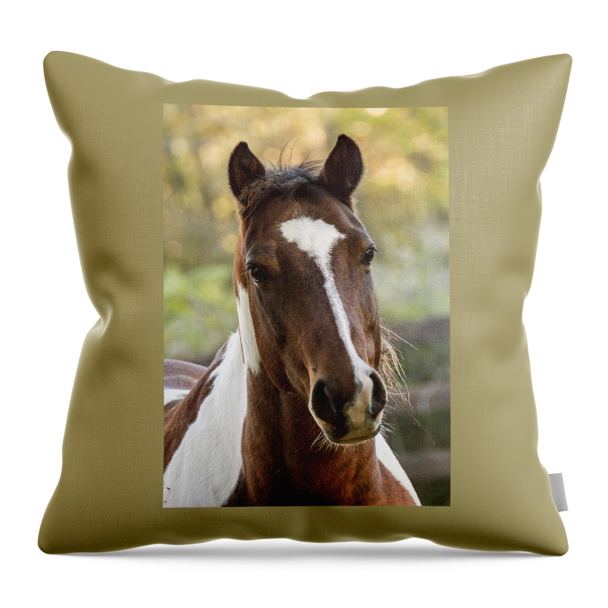 Brown Throw Pillow featuring the photograph Happy Horse by Suanne Forster