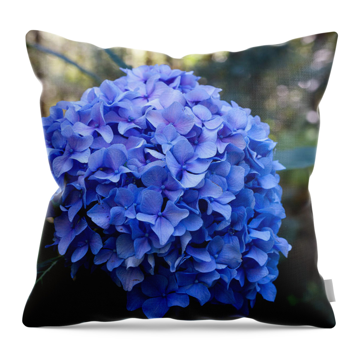 Bellingham Throw Pillow featuring the photograph Happy Hydrangea by Judy Wright Lott