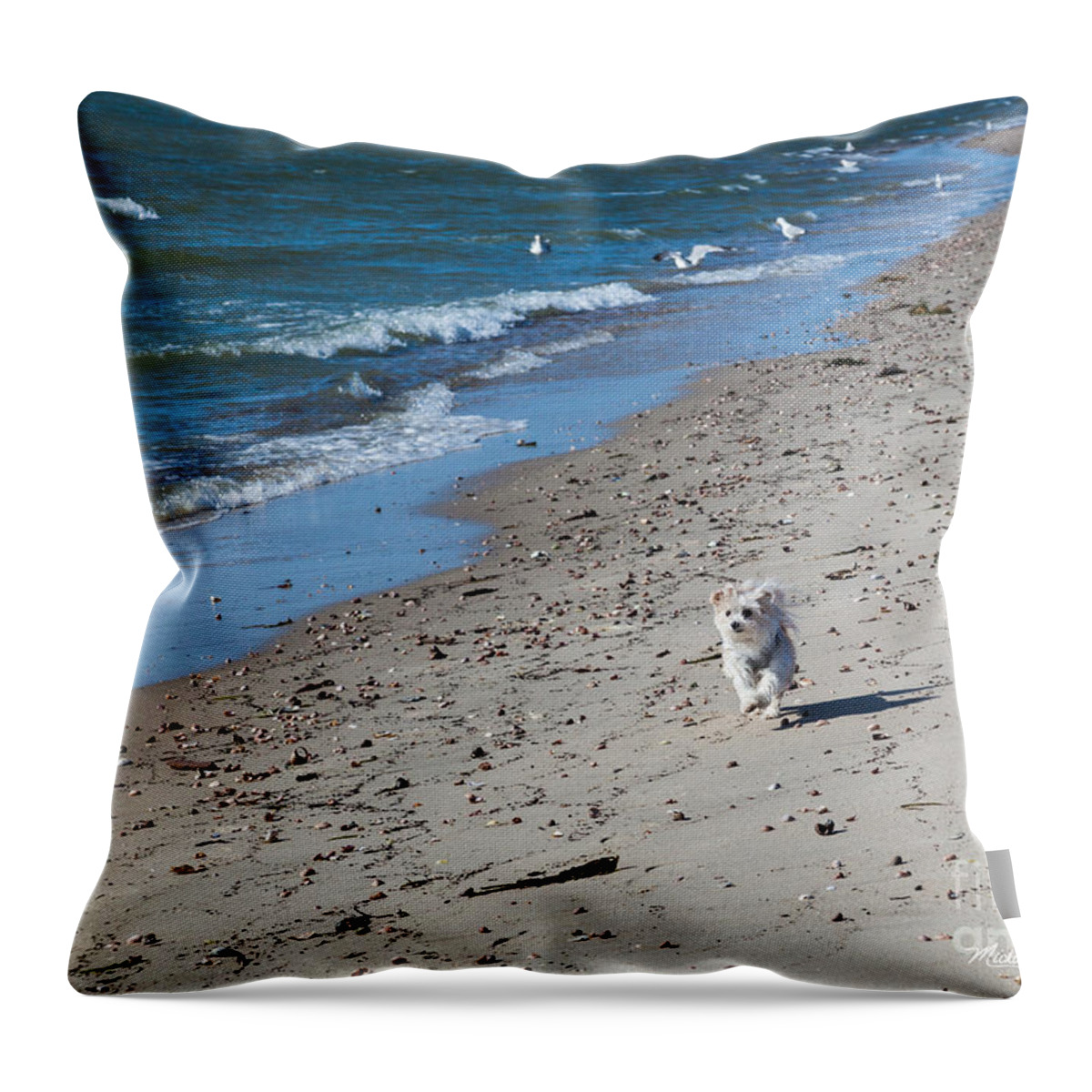 Happy I Am Throw Pillow featuring the photograph Happy I Am by Michelle Constantine