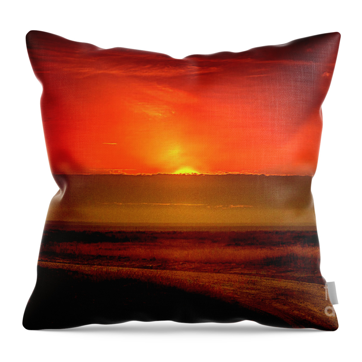 Sunrise Throw Pillow featuring the photograph Happy New Year by Pravine Chester