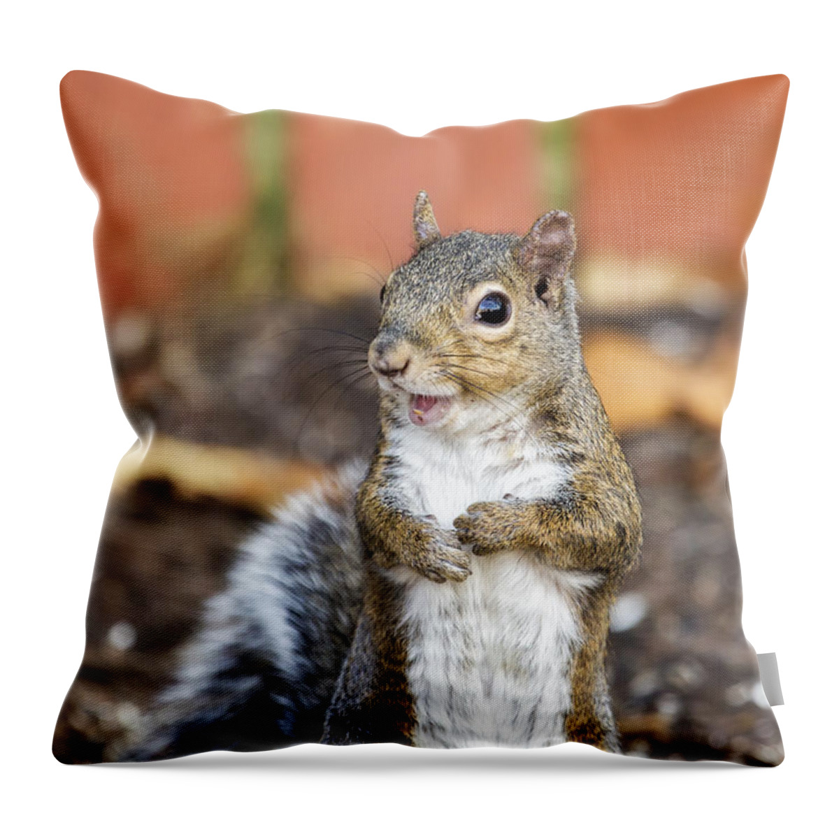 Smile Throw Pillow featuring the photograph Happy Squirrel by Bill and Linda Tiepelman