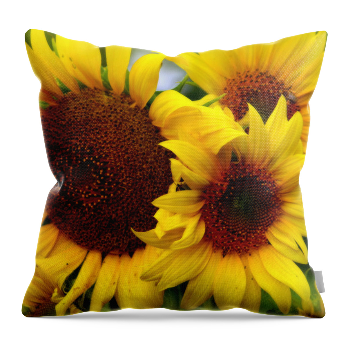 Nature Throw Pillow featuring the photograph Happy Sunflowers by Kay Novy