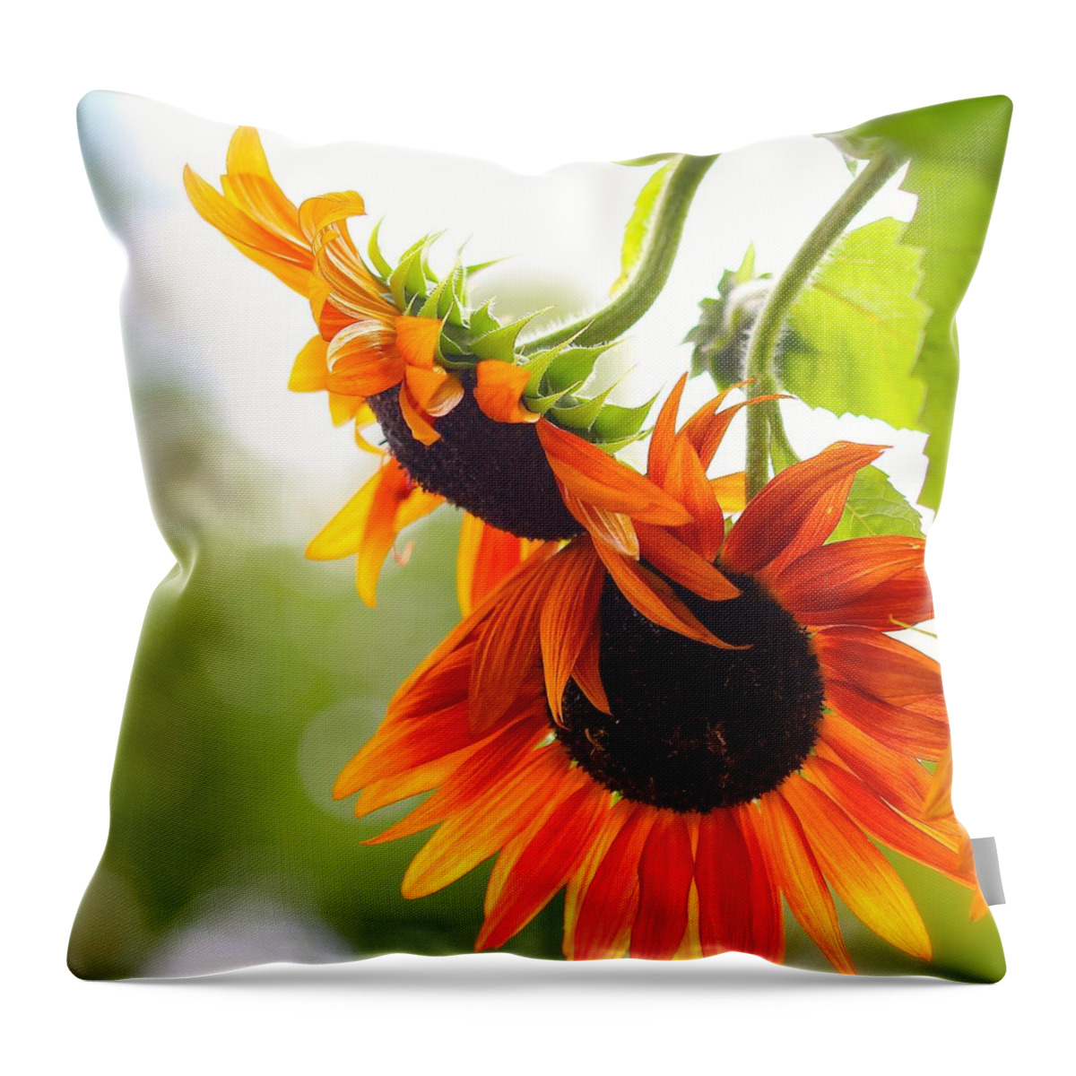 Happy Throw Pillow featuring the photograph Happy by Tracy Male