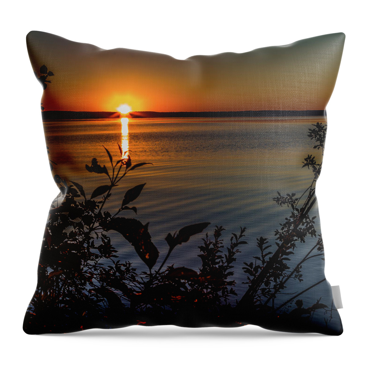Higgins Lake Throw Pillow featuring the photograph Hapy Independence day by Joe Holley