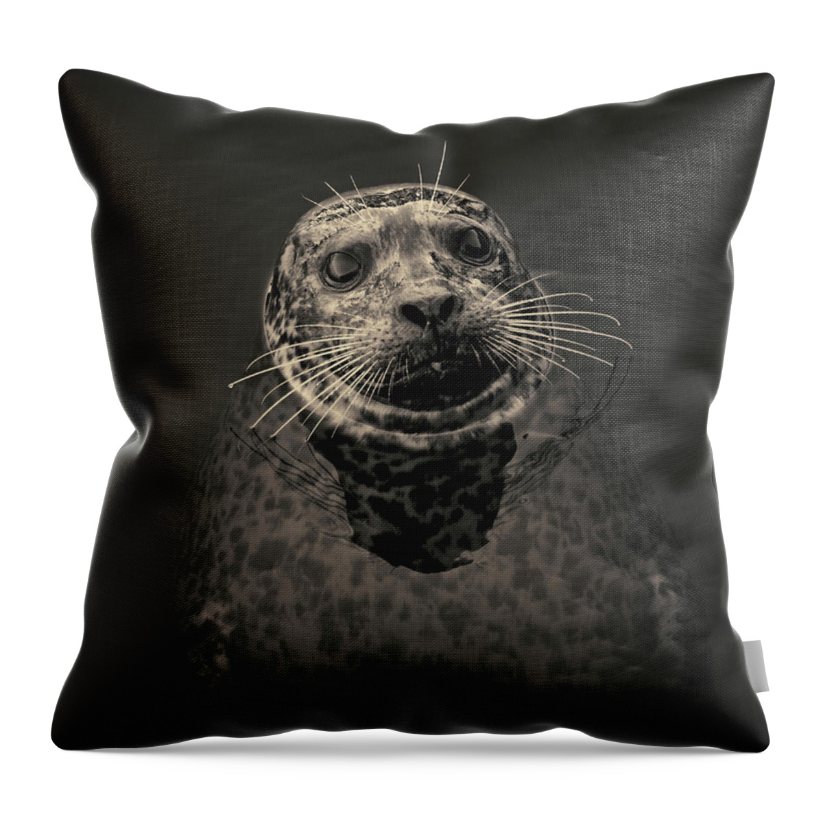 Seal Throw Pillow featuring the photograph Harbor Seal III Toned SQ by David Gordon