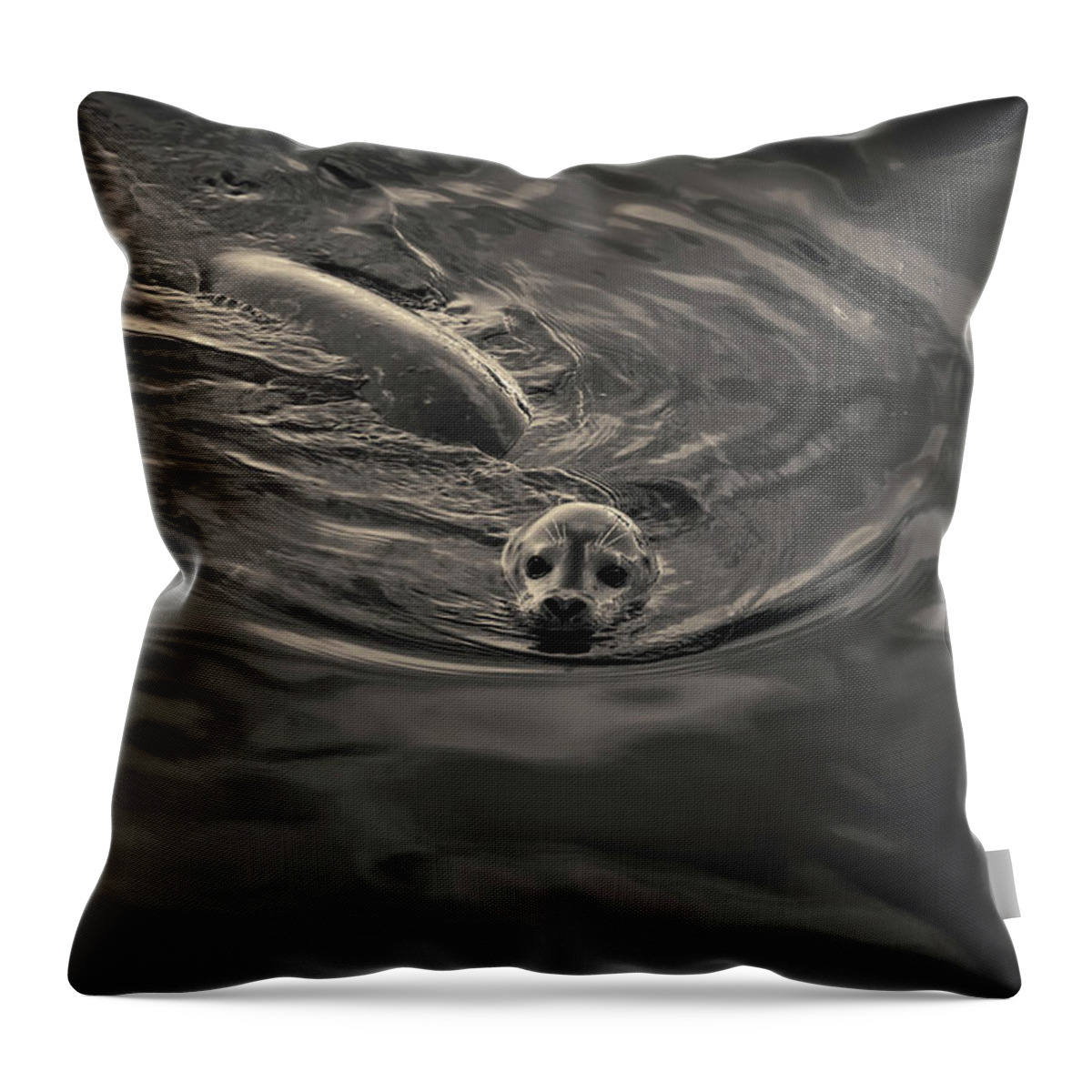 Seal Throw Pillow featuring the photograph Harbor Seal IV Toned by David Gordon